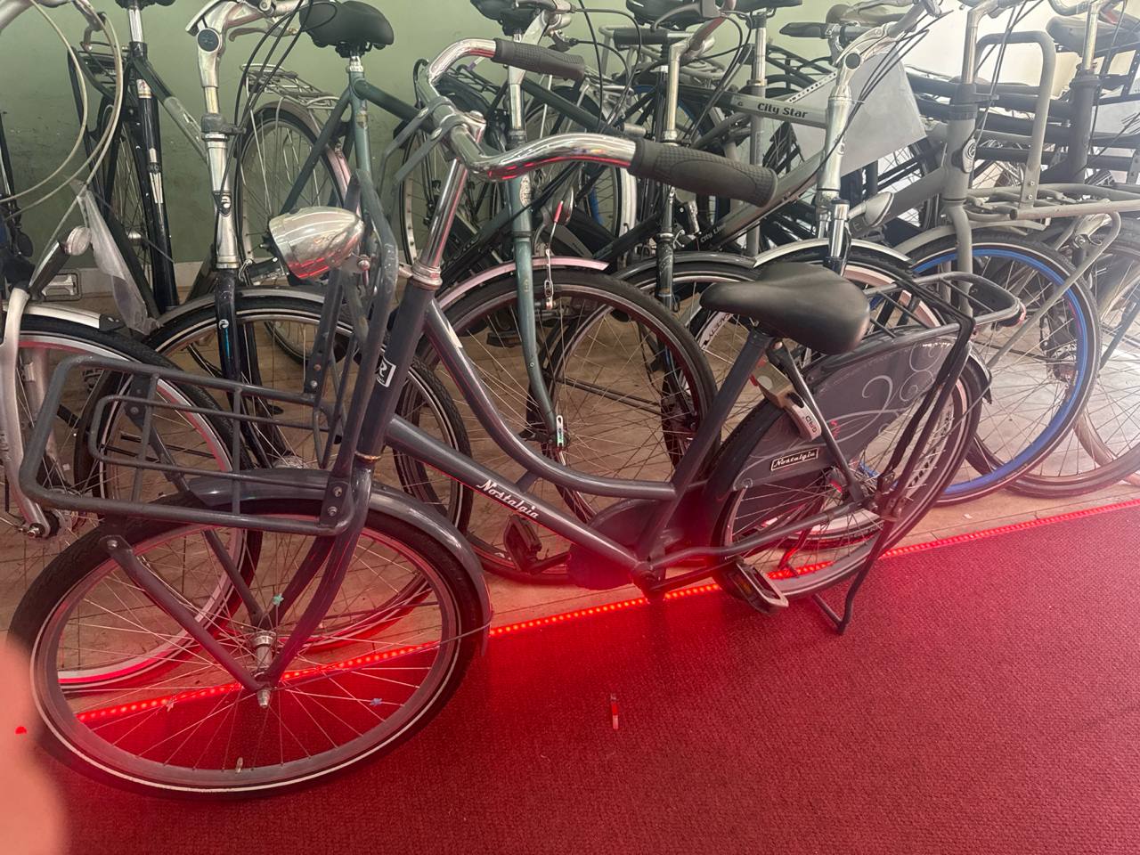 NOLTALGIA Damesfiets + 1 maand garantie, 44 cm, 1 speed