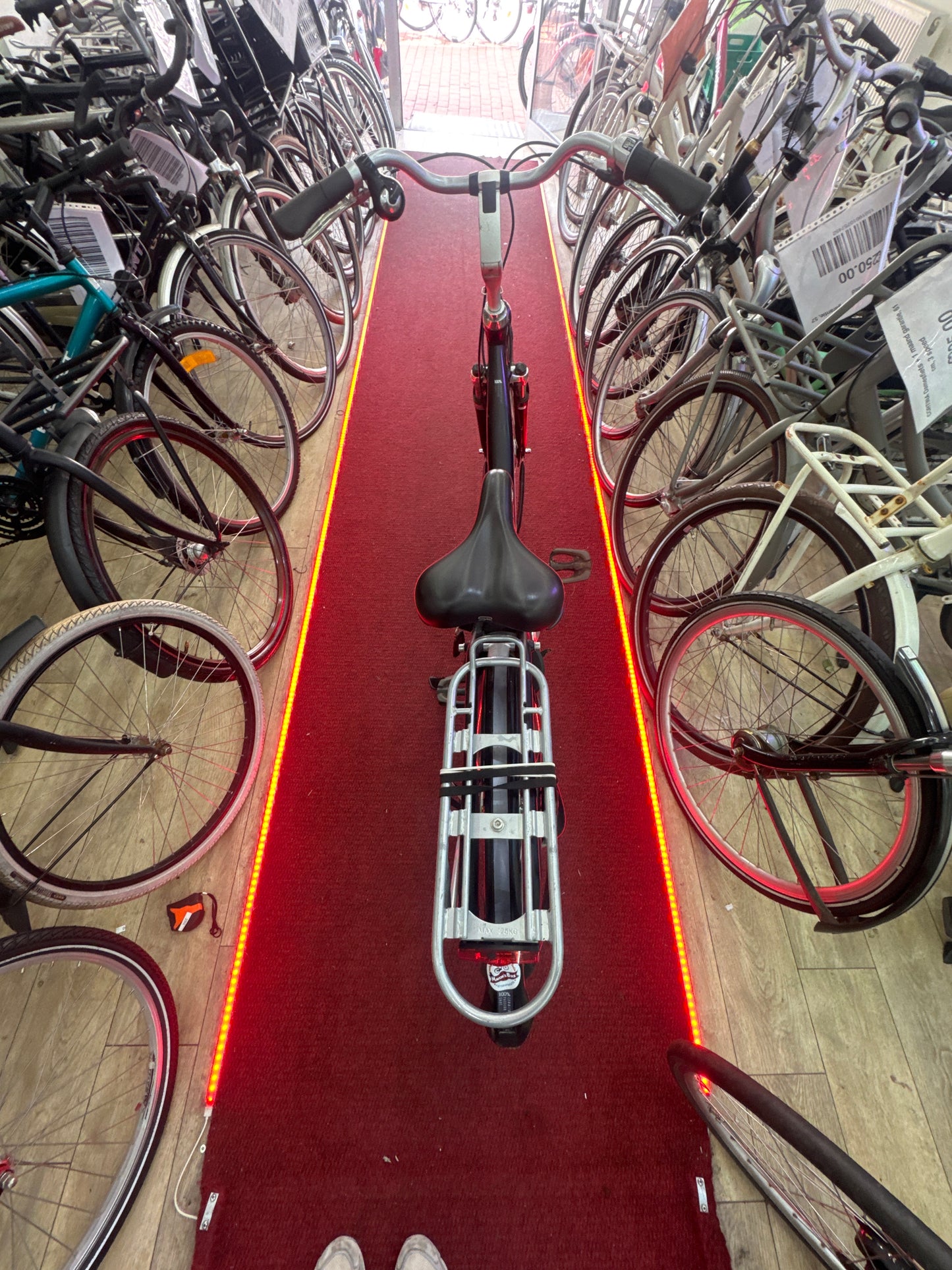 MAMBO Damesfiets + 1 maand garantie, 53, 7 speed