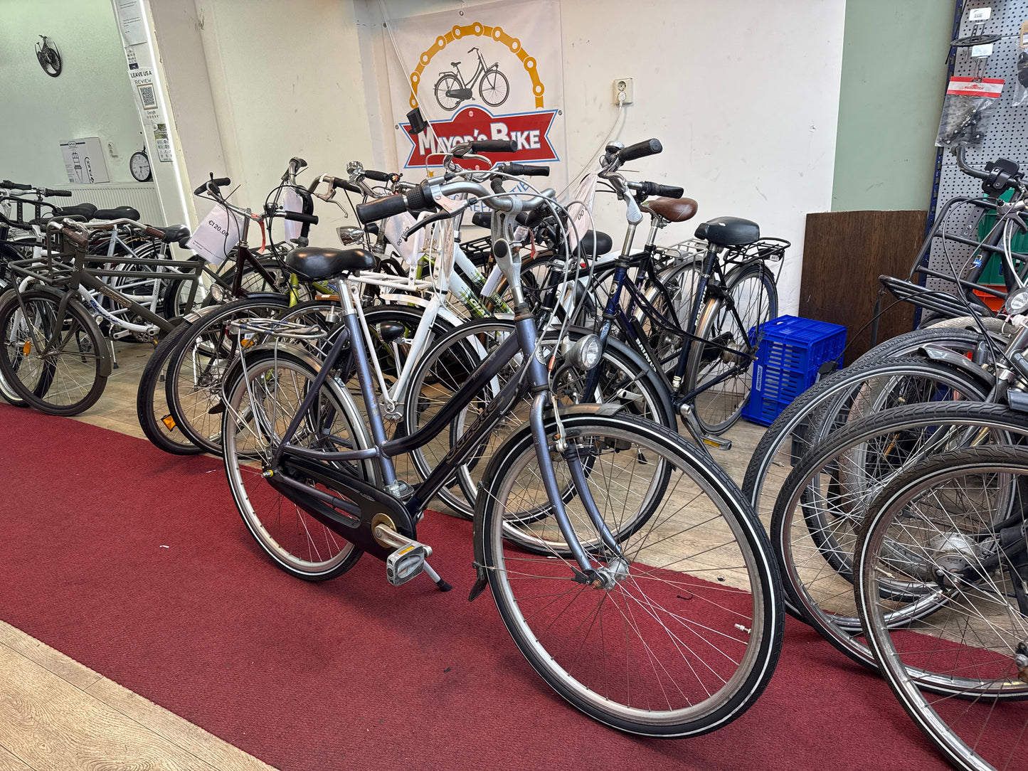 GAZELLE Damesfiets + 1 maand garantie, 58, 7 speed