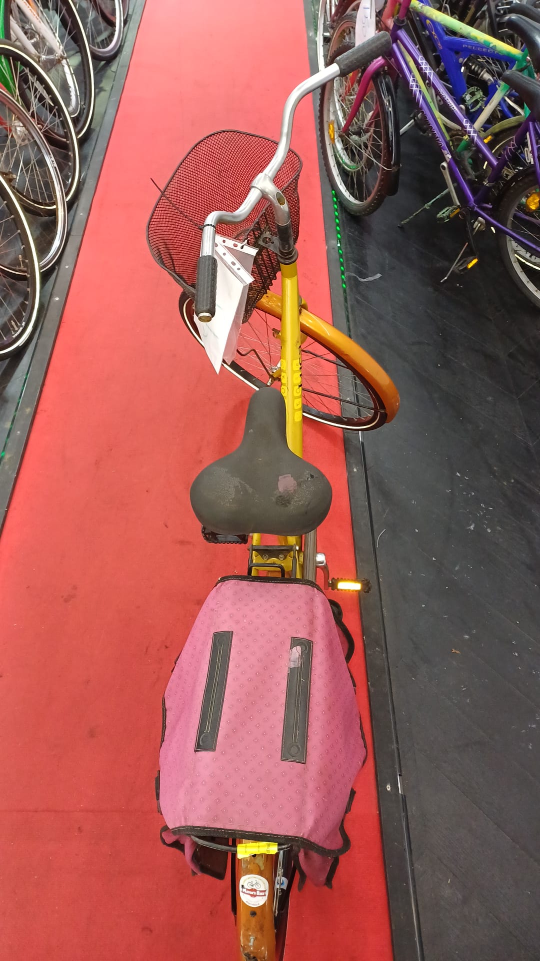 LUCA dames fiets padel brake with one month garantic 57cm