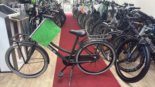CABGO Damesfiets + een maand garantie,26 INCH