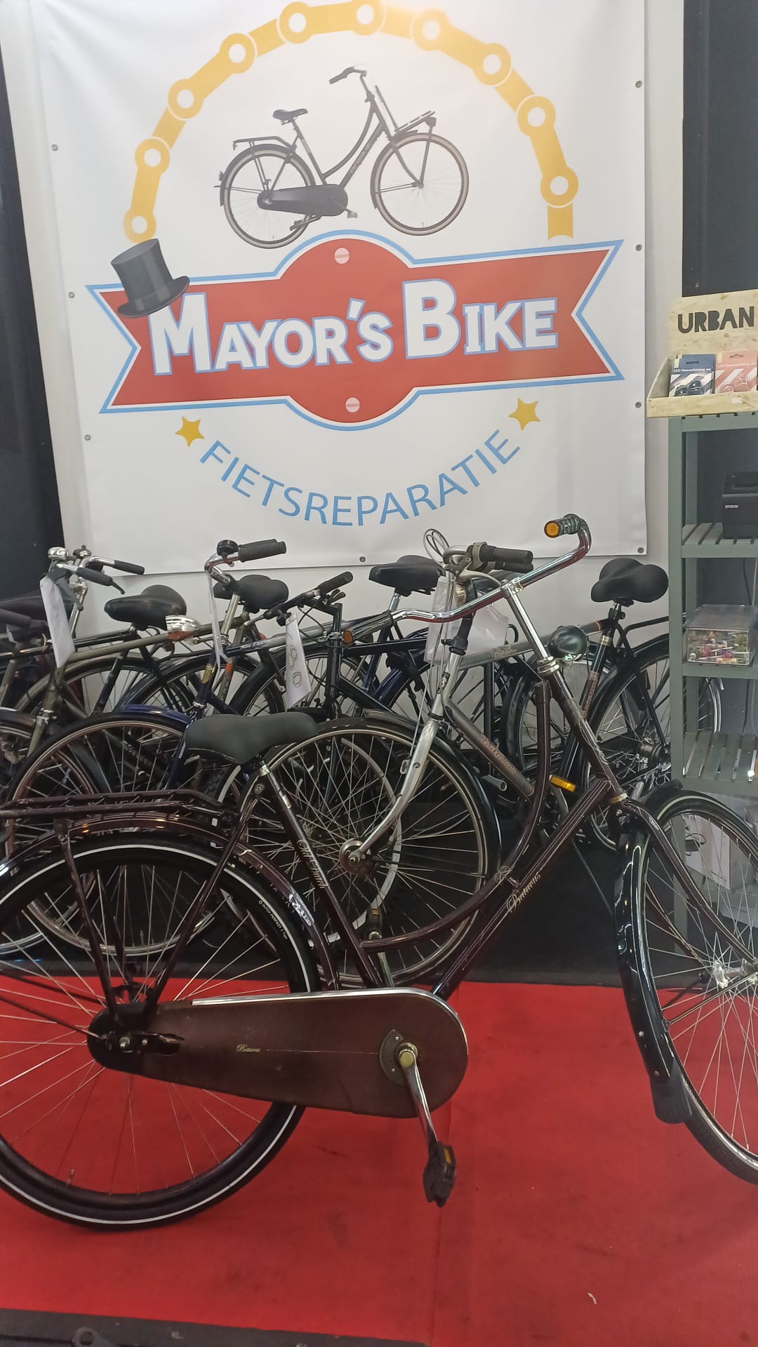 Batavus damesfiets 1 mmand garantie( terugtrap-56cm)