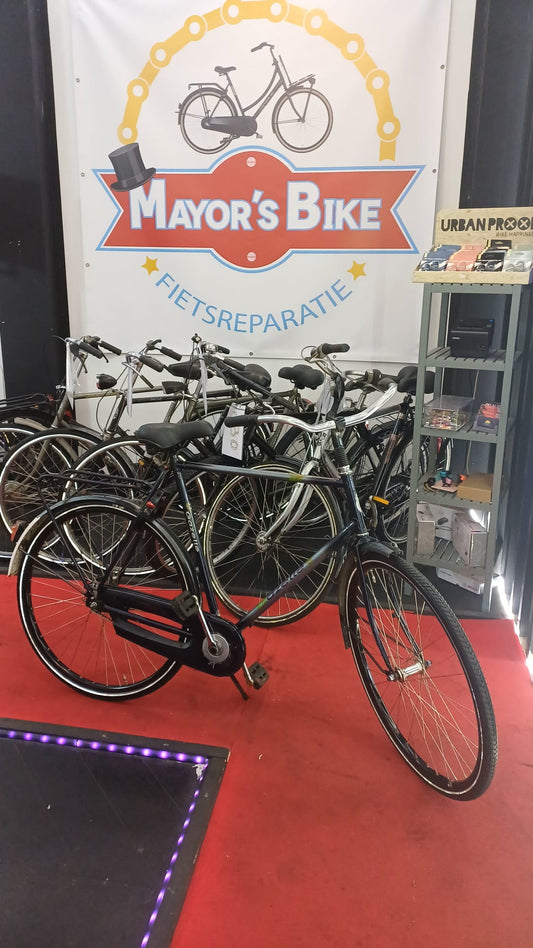 GAZELLE padel brike 61 cm