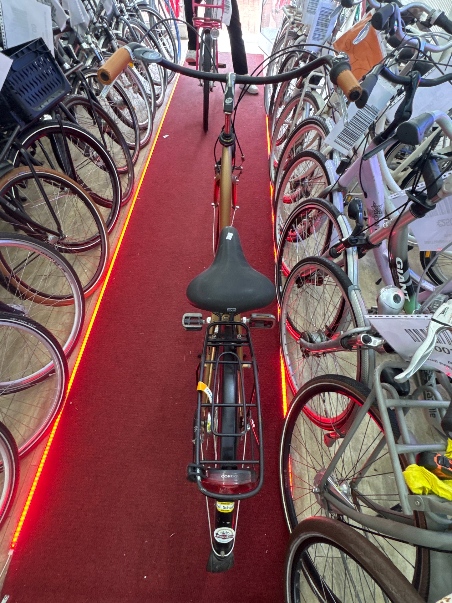 BATAVUS Damesfiets + 1 maand garantie, 53, 3 speed