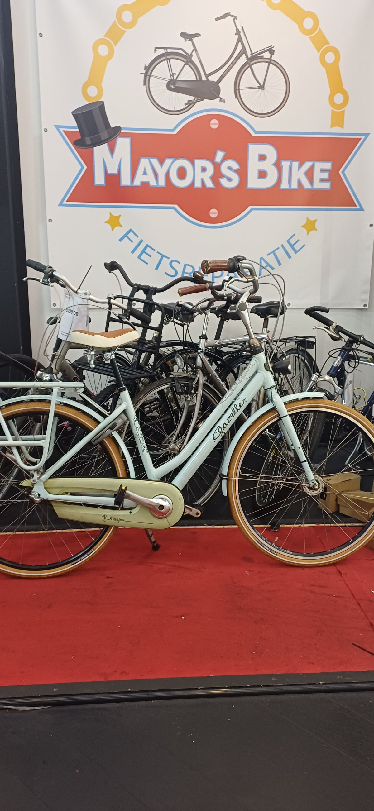GAZELLE Damesfiets + 1 maand garantie, 51, 3 speed