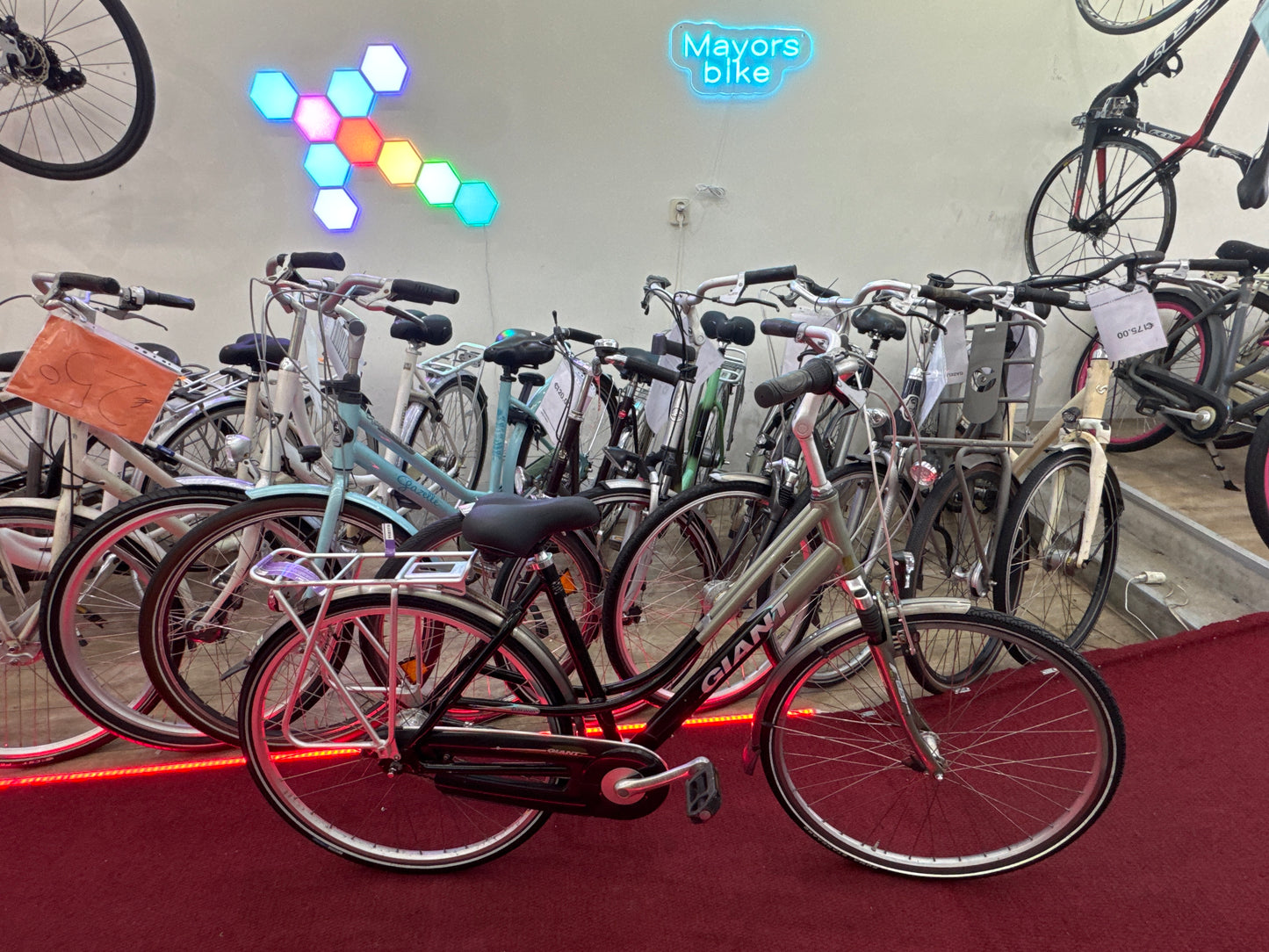 GIANT Damesfiets + 1 maand garantie, 51, 7 speed