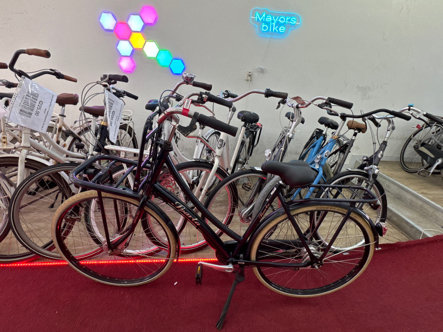 SPARTA Damesfiets + 1 maand garantie, 55, 7 speed