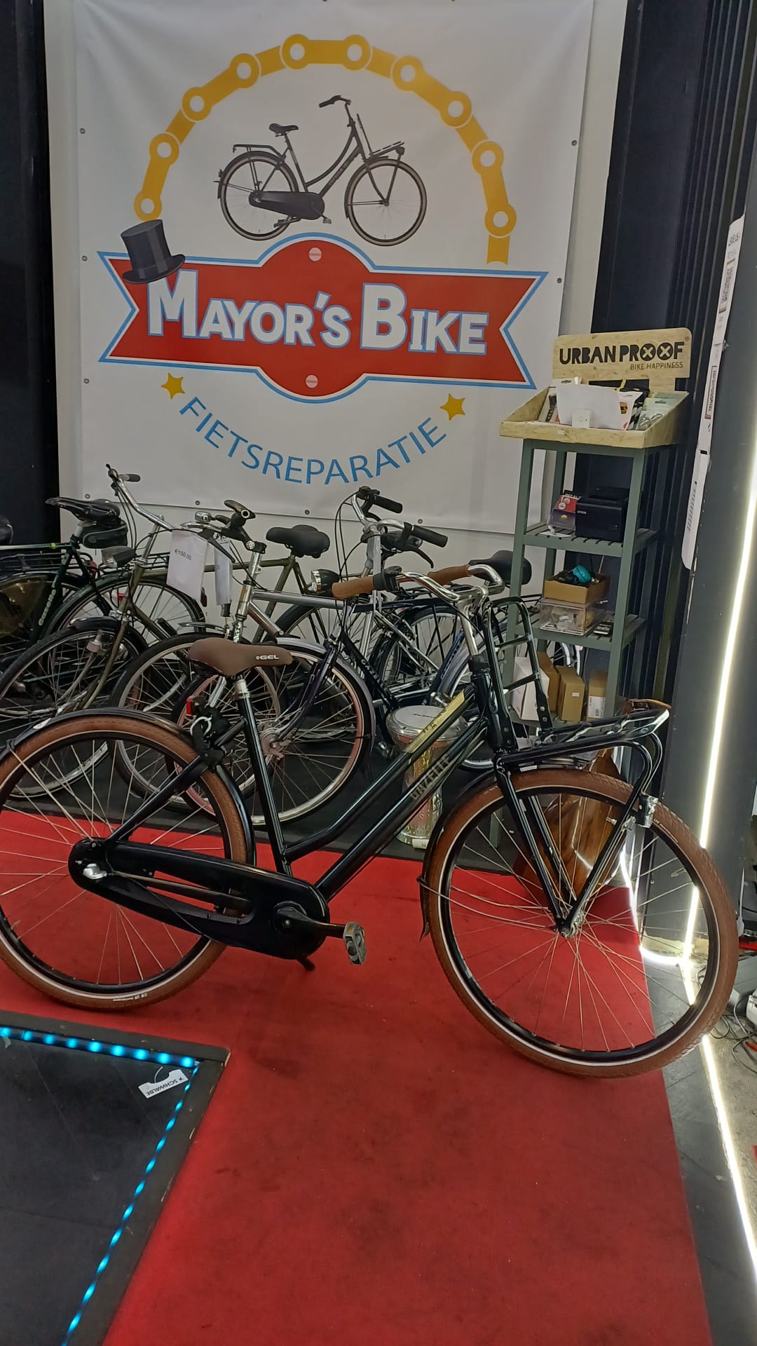 GAZELLE OMA fiets 3 versnelling met een mand garantie 55 cm