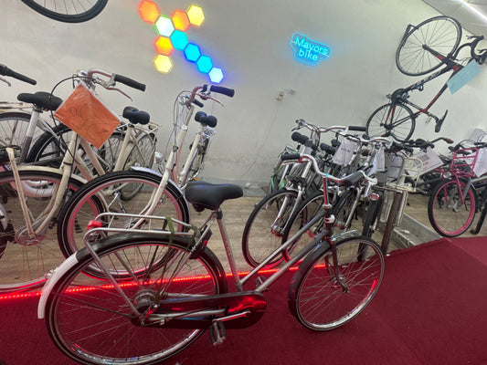RIVEL Damesfiets + 1 maand garantie, 55, 3 speed