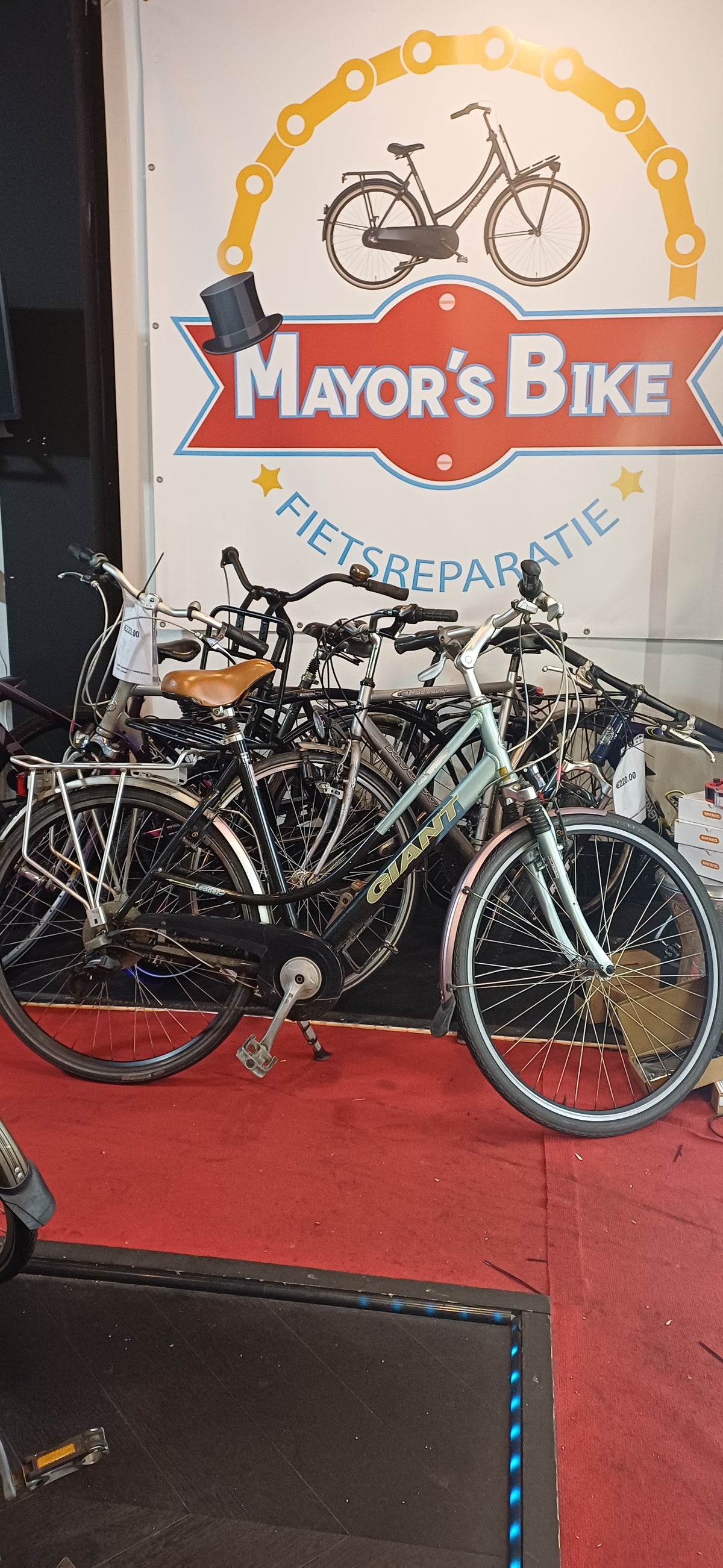 GIANT Damesfiets + 1 maand garantie, 57 cm, 9 speed
