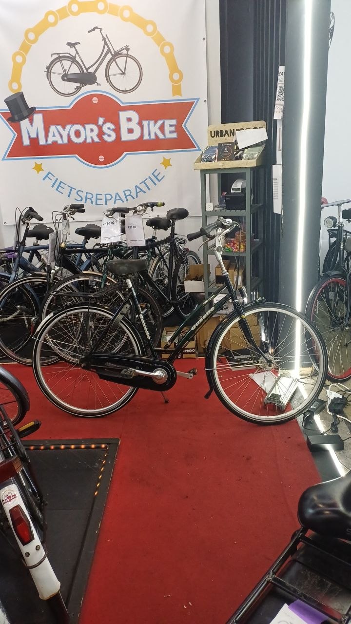GAZELLE Damesfiets + 1 maand garantie, 54 cm, 7 speed