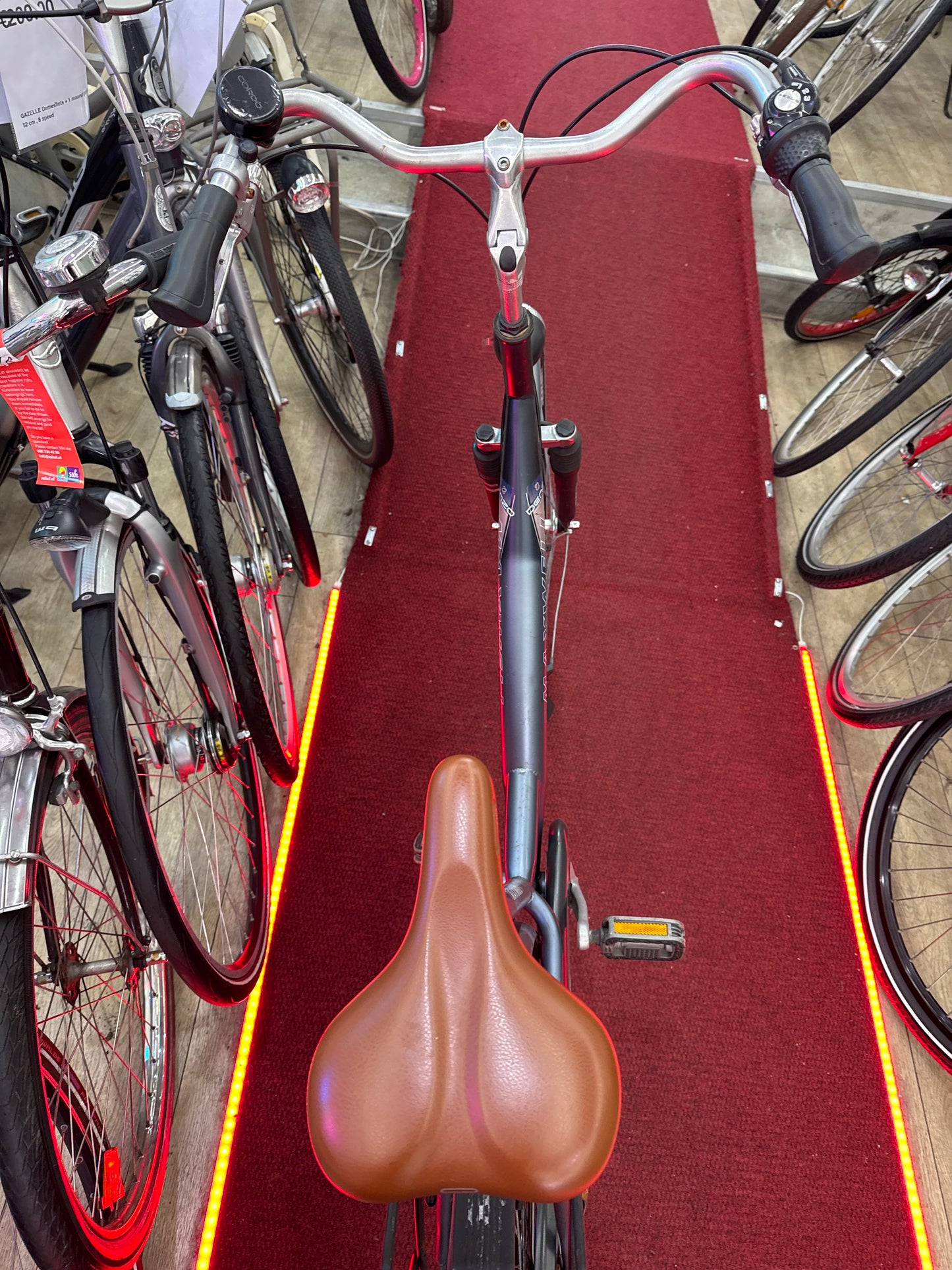 MAXWELL Omafiets + 1 maand garantie, 56, 3 speed
