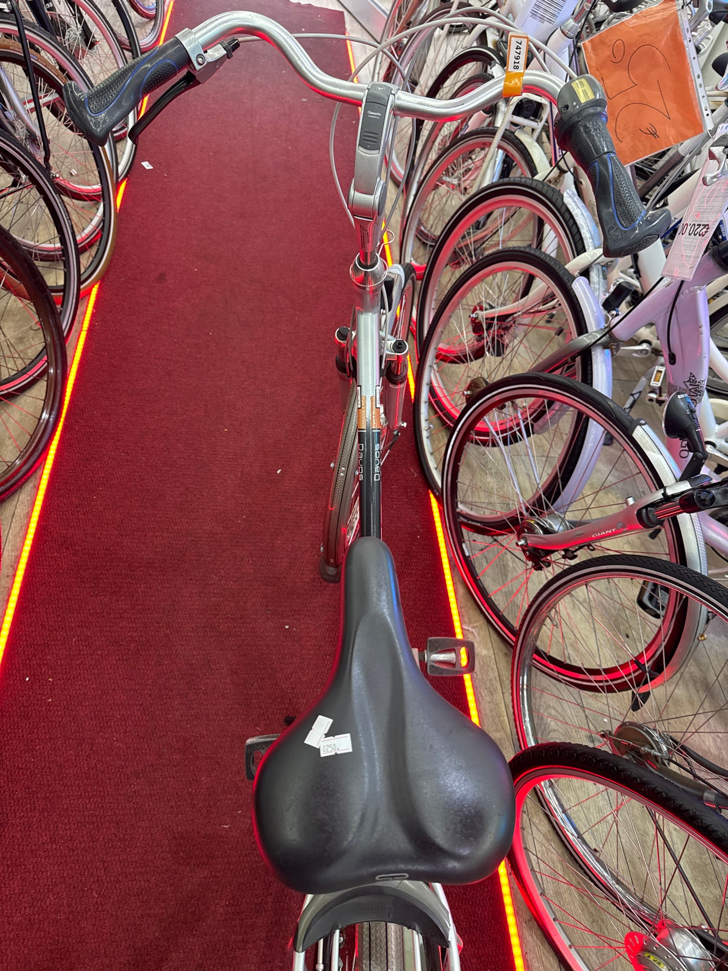 GAZELLE Damesfiets + 1 maand garantie, 61, 8 speed