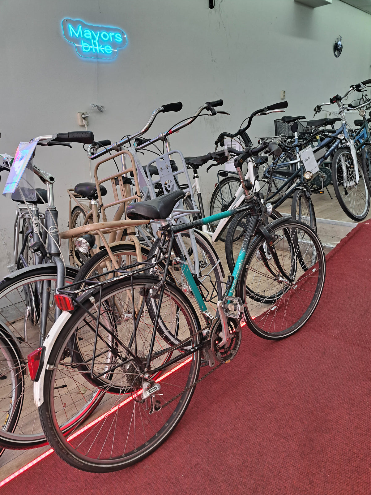 KOGA-MIYATA Herenfiets + 1 maand garantie, 59, 7 speed