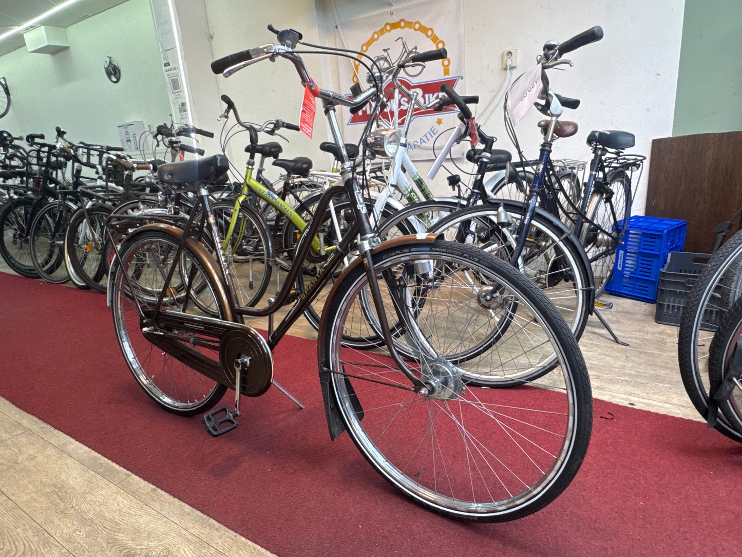 SPARTA Damesfiets + 1 maand garantie, 54 cm, 3 speed