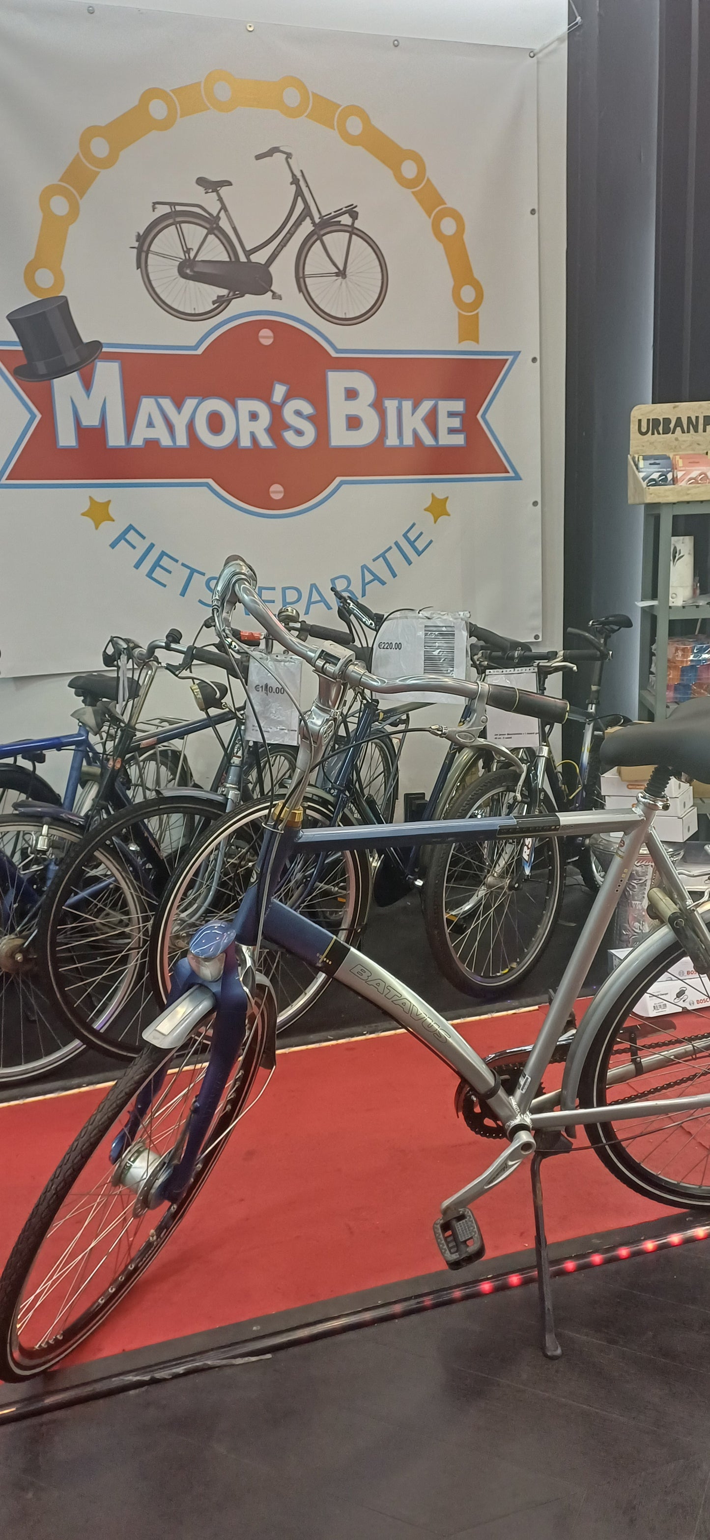 BATAVUS Herenfiets + 1 maand garantie, 65, 8 speed
