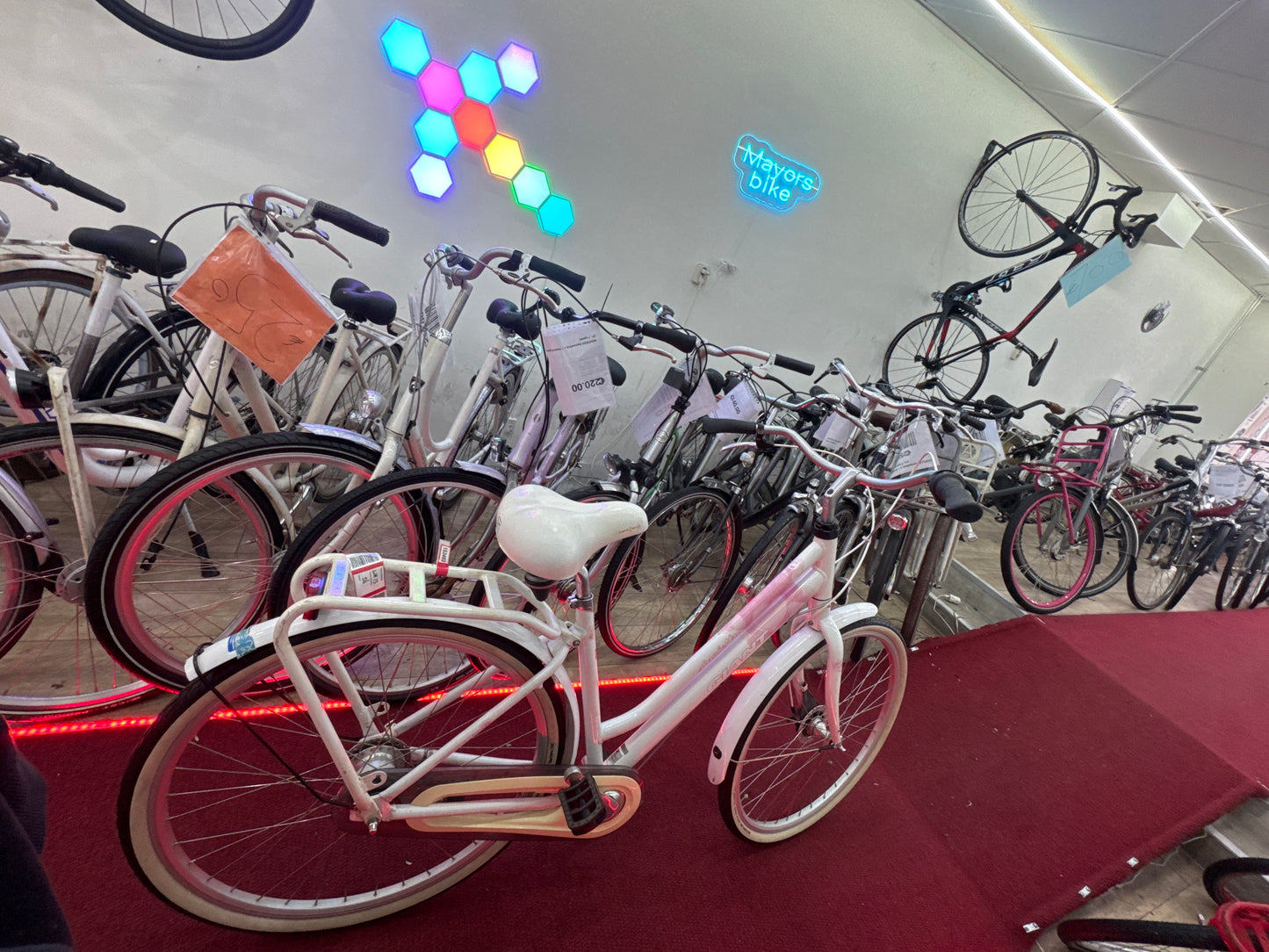 GIANT Damesfiets + 1 maand garantie, 50, 7 speed