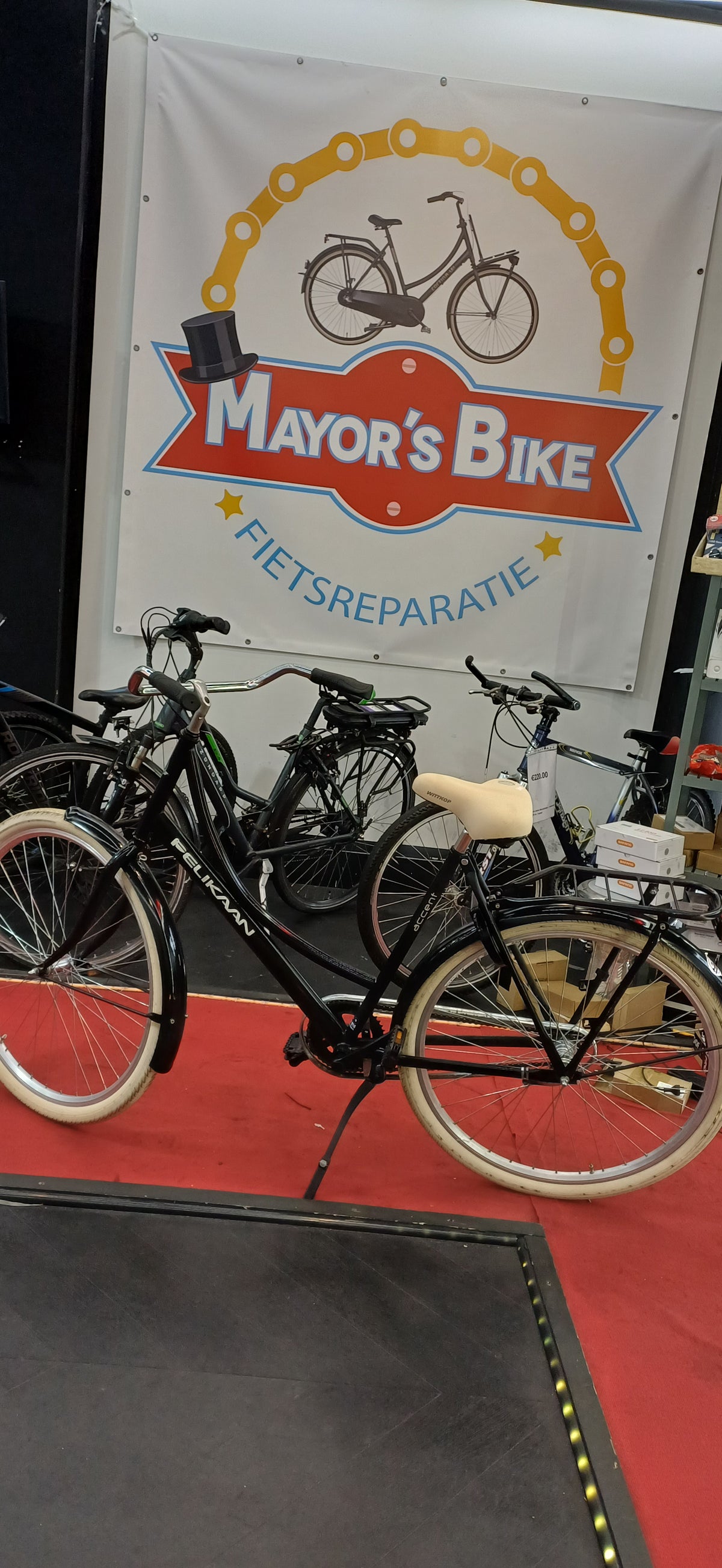 PELIKAAN Damesfiets + 1 maand garantie, 54 cm, 1 speed