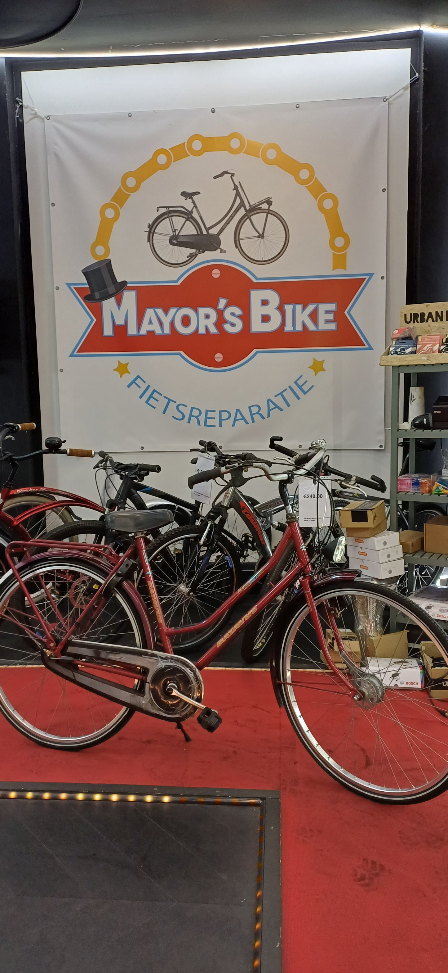 BATAVUS Damesfiets + 1 maand garantie, 53, 3 speed