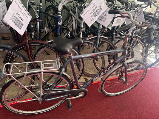 GIANT Herenfiets + 1 maand garantie, 57 cm, 7 speed