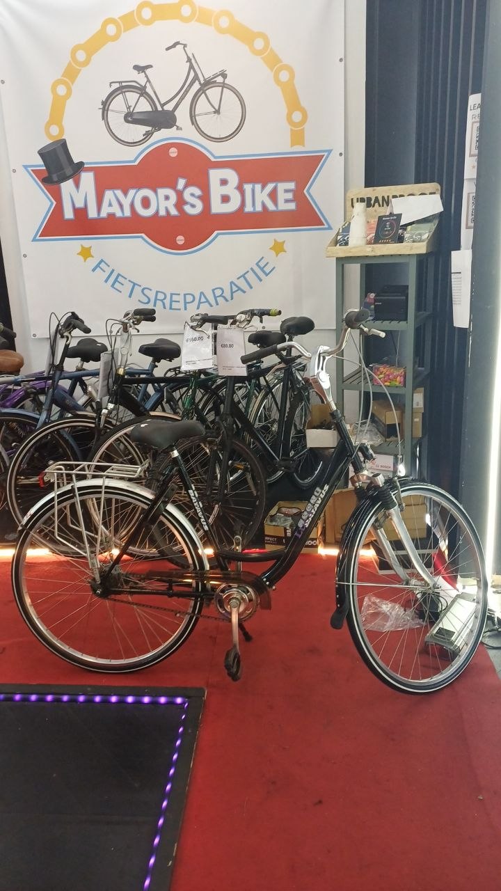BATAVUS Damesfiets + 1 maand garantie, 54 cm, 7 speed