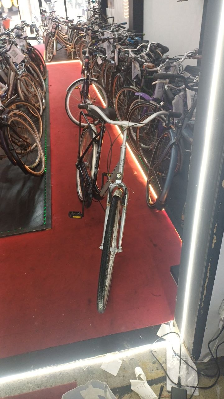 Pelkaan Damesfiets + 1 maand garantie, 54 cm, 3 speed