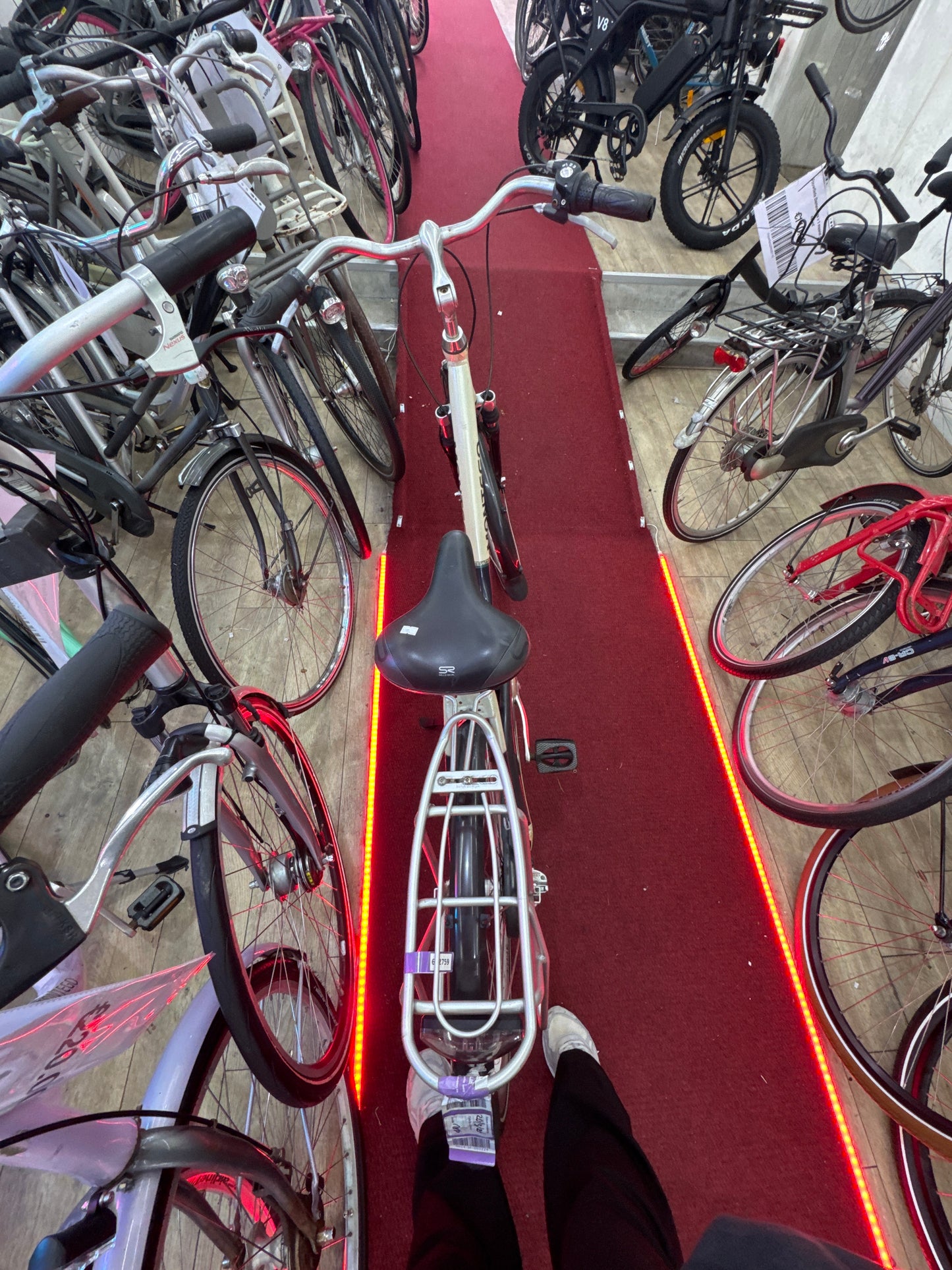 MONTEGO Damesfiets + 1 maand garantie, 55, 3 speed