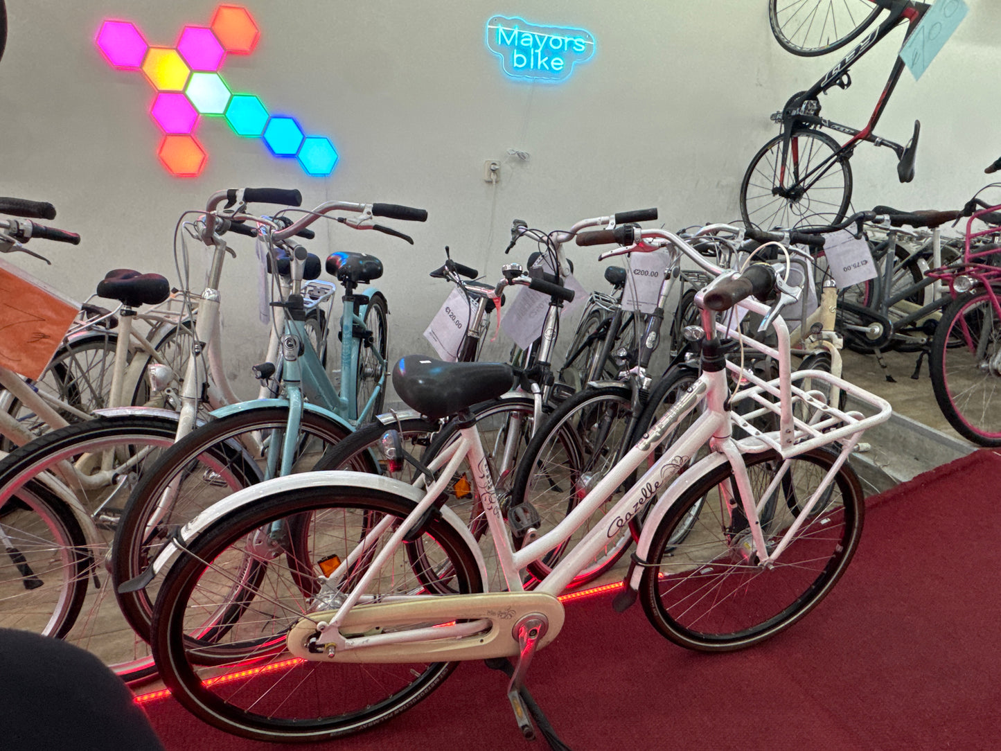 GAZELLE Damesfiets + 1 maand garantie, 59, 7 speed