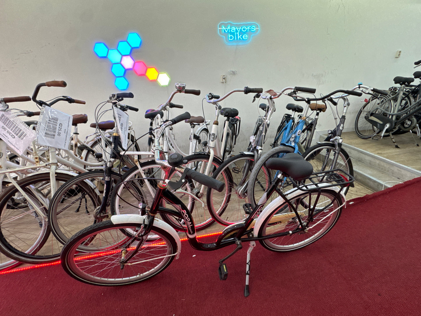 POPAL Damesfiets + 1 maand garantie, 54, 1 speed