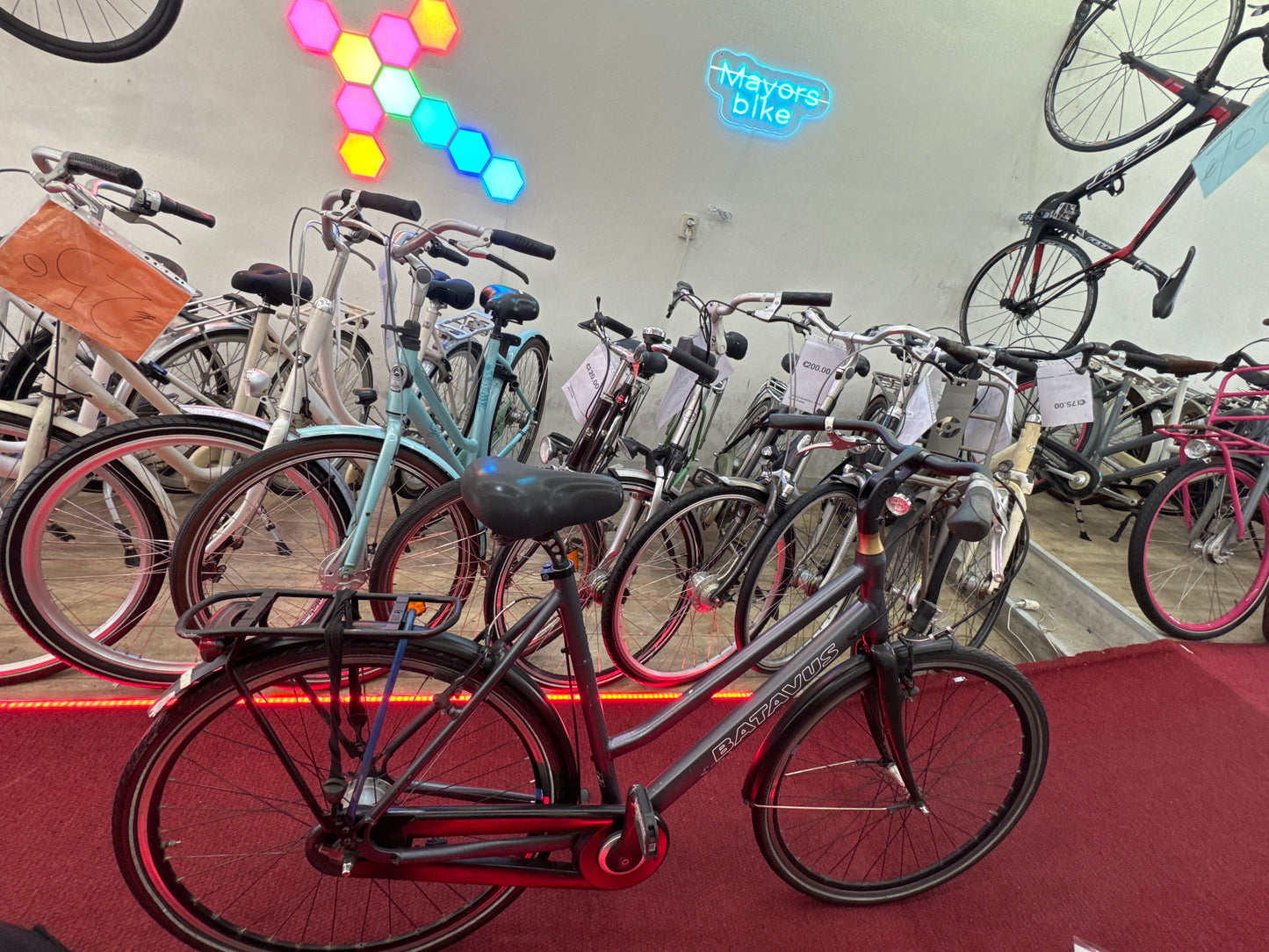 BATAVUS Damesfiets + 1 maand garantie, 57 cm, 8 speed