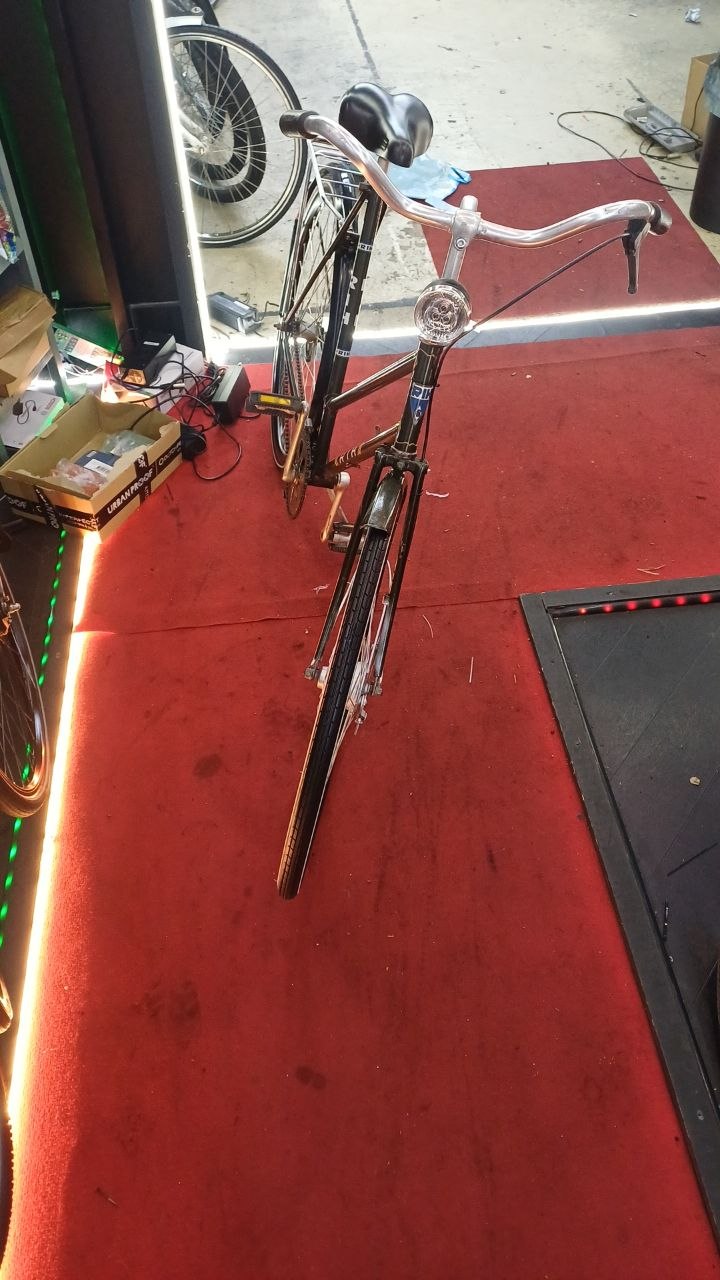BATAVUS Damesfiets + 1 maand garantie, 59cm, 1 speed