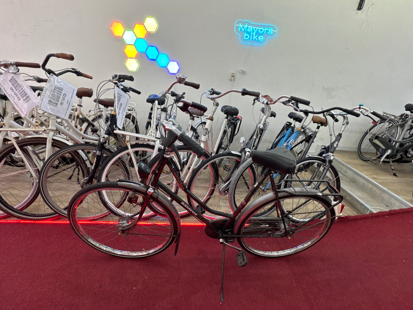 BATAVUS Damesfiets + 1 maand garantie, 60, 3 speed